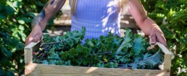 Un cageot de produits récoltés dans la ferme urbaine du 15e à Paris